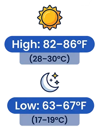 Weather